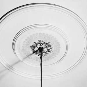 Ceiling medallion or rosette